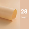 Fotolux 1.2m x 1.5m  Warm Tone  4-Pack Large PVC Background Sheet for Products/Portrait Photography (Nude + Pink + Ivory + Mocha ) - Bulk Buy