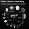 Godox RS100Bi 2-Light Kit - 100W Bi-Color Portable LED Video Light (Built-In Battery) with SP1 Softboxes & Backpack 