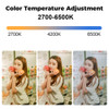 Nicefoto VB-2000A 200W Bi-Color Foldable LED Light Mat Panel with Softbox & Grid  60 x 70cm 