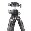 Cavix W-254D1C Carbon Fibre  4-section Tripod with Ball Head (Twist Lock)