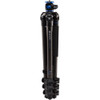 Benro GC258F GoClassic Carbon Fiber 4-Section Versatile Tripod (Flip Lock)