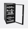 Andbon DS-155S 155L Large Auto-Dehumidifier Digital Dry Cabinet (Black)