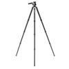 Benro TMTH44CWH15 Mammoth Carbon Fiber Tripod with WH15 Wildlife Head