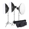 Godox 3x DP600IIIV 600Ws Studio Flash Kit  