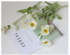 Fotolux Photo Props Long Stem Spray Artificial Poppies 60cmH x 7cmD (White)