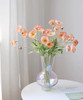 Fotolux Photo Props Long Stem Spray Artificial Poppies 60cmH x 7cmD (Sweet Peach)