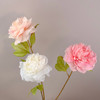 Fotolux Photo Props Artificial Flowers Princess Peony White (58cmH x 12cmD))