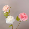 Fotolux Photo Props Long Stem Spray Artificial Princess Peony Blush Pink (58cmH x 12cmD)