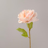 Fotolux Photo Props Artificial Flowers Princess Peony Blush Pink (58cmH x 12cmD))