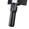 Godox LED Light Stick LC500 (3300-5600K) with Wireless Remote Control (Hand-held, Portable, Built-in Battery)