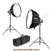 Aputure 2x Amaran 100D S 100W Compact Daylight Point Source Two LED Light Kit