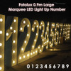 Fotolux 0.9m Large Marquee LED Light Up Number