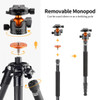 K&F Concept SA254C3 A254C4+BH-35L Carbon Fiber 4-section Twist Lock Travel Tripod with Ball Head  