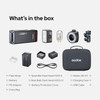 Godox AD200Pro II 200Ws TTL HSS Portable Flash (Twin Head Kit)