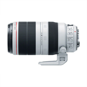 Canon EF 100-400mm f/4.5-5.6L IS II USM