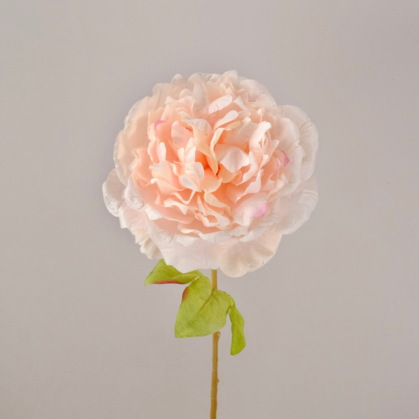 Fotolux Photo Props Long Stem Spray Artificial Princess Peony Blush Pink (58cmH x 12cmD)