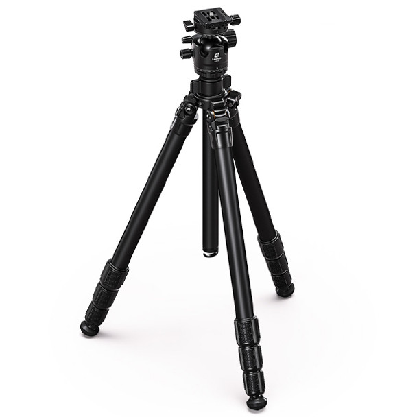 Leofoto LG-284C+LH-36R Black Magic Carbon Fiber Tripod Kit with LH-36R Head (Black)