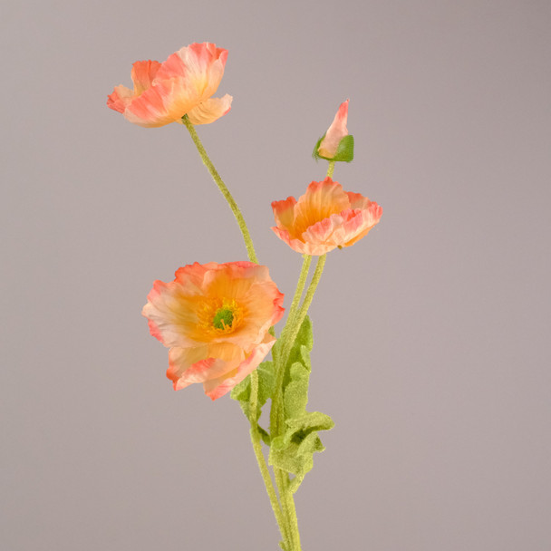 Fotolux Photo Props Artificial Poppies 60cmH x 7cmD (Sweet Peach)