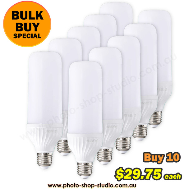 Fotolux 10x FOT-E27L80 E27 80W LED Lamp / Light Bulb (Daylight 5600K)(Bulk Buy) 
