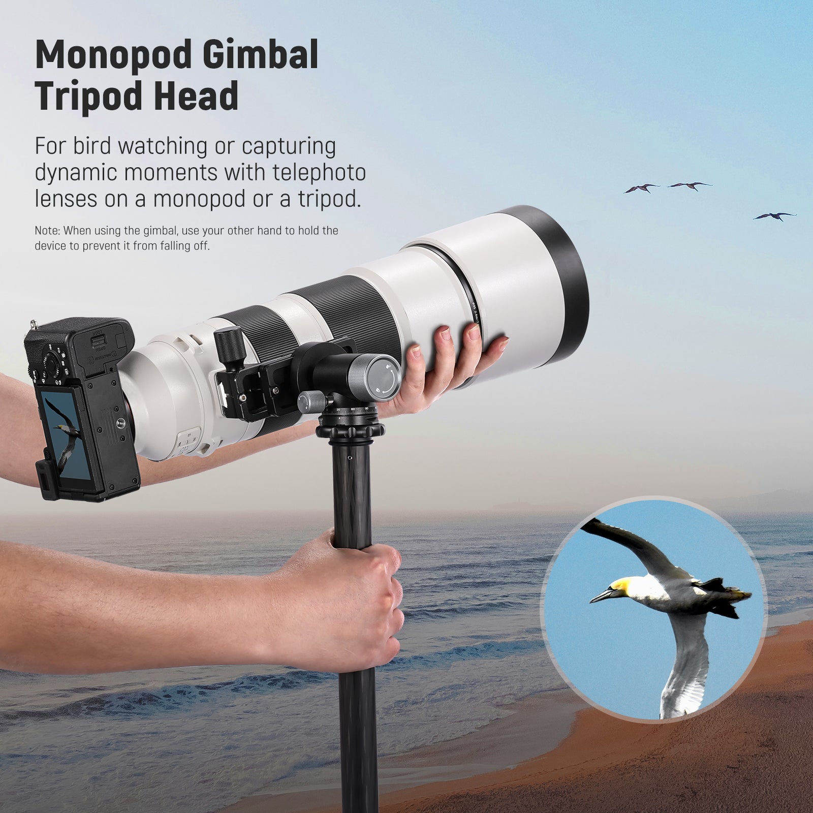 Bird Photography Best Ball Head For Photography Canon Best Monopod