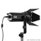 Godox S30 Focusing LED Light with SA-08 Barn door (5600K , Adjustable Beam Angle 6° to 55°)