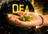 Hemp Industry association VS the Drug Enforcement Agency 
