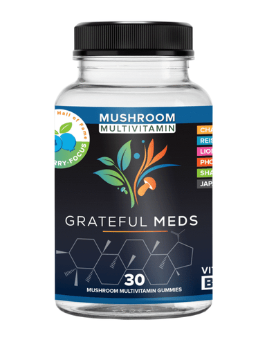 Grateful Meds | Multivitamin Mushroom Gummies | Blueberry | Focus | THC Free | 30 Count