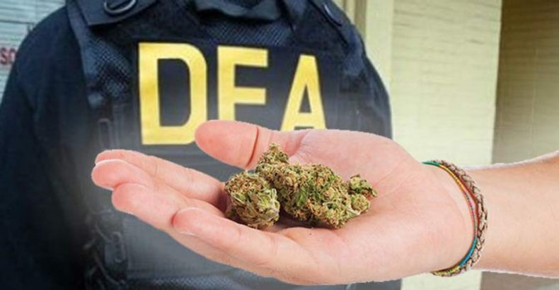 Hemp Industry association VS the Drug Enforcement Agency 