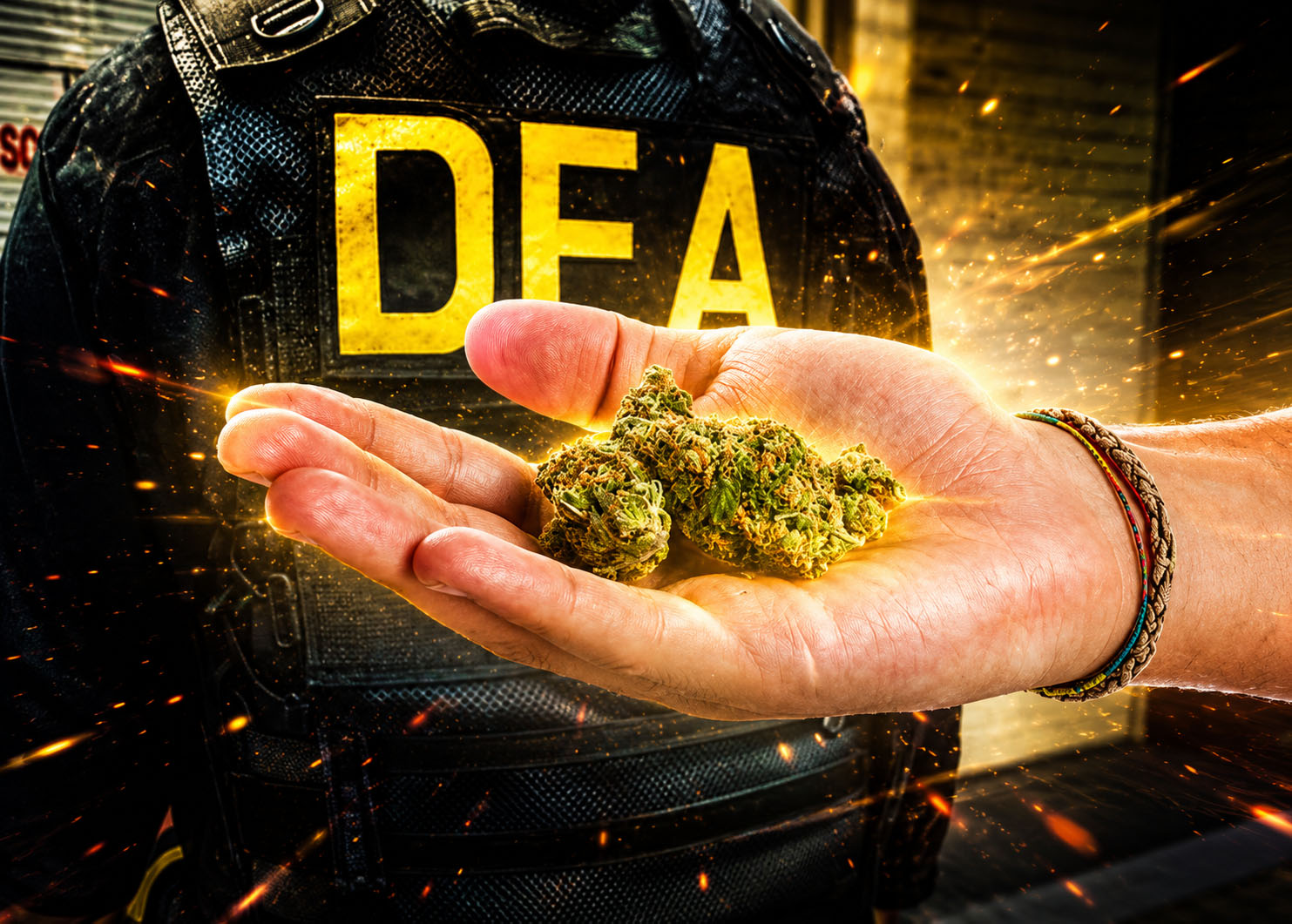 Hemp Industry association VS the Drug Enforcement Agency 