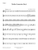 Accolay Violin Concerto No. 2 for Violin and String Orchestra - part preview