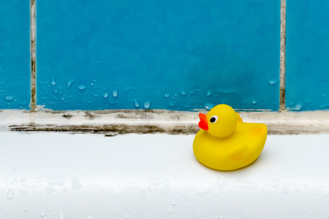 How to Prevent Mold in Bathrooms