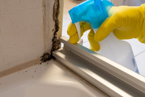 How to Remove Mold From Shower Caulking