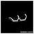 Photo - Unmounted