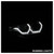 Photo - Unmounted
