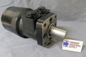 255320F3110AAAAA White interchange hydraulic motor