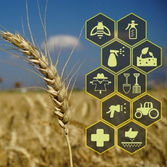 Crop Data Services
