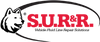 S.U.R. and R Auto Parts