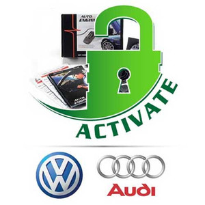 AutoEnginuity Enhanced Interface for Audi and VW (EI16) AutoEnginuity Enhanced Interface for Audi and VW (EI16)