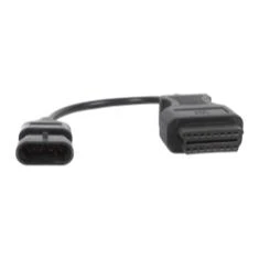 Cojali Landini diagnosis cable