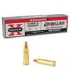 Winchester Super-X 21 Sharp 34 Grain Jacketed Hollow Point (JHP)