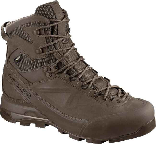 salomon alp gtx forces