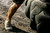 LALO Men's Bloodbird Weightlifting Shoe, Select Colors