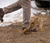 Muck Boot Men's Waterproof Lineman Rain Boot