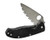 Spyderco C122GS Tenacious 8Cr13MoV SS 3.39 Folding - Drop Point Serrated