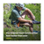 Smartwool Men's Hike Classic Edition Extra Cushion Crew Socks, Large-Taupe