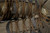 Merrell Men's Nova 3 Tactical Mid Waterproof Boots, Dark Olive