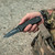 Smith & Wesson Outdoor Liner Lock Folding Knife Tactical Blade, Black