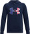 Under Armour Freedom Flag Logo Rival Hoodie, Academy Blue/White, Small