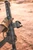 Aimpoint Micro T2 Red Dot Sight, NV Compatible, No Mount