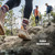 Smartwool Men's Run Zero Cushion Mid Crew Pattern Socks – Grey